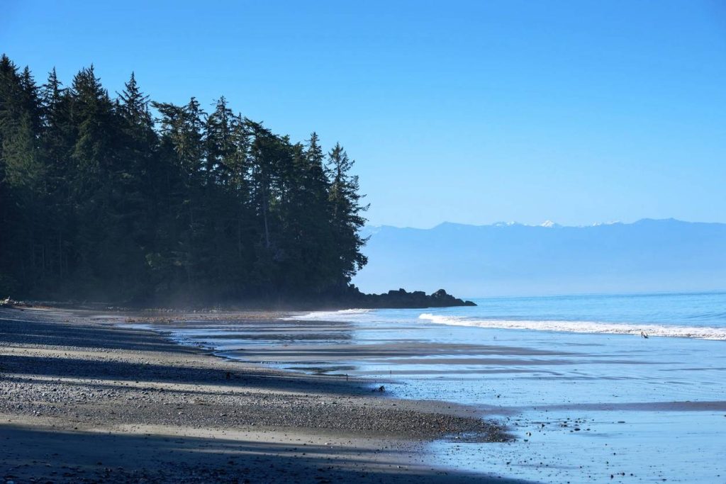 Rural beach cove lined by pines, Not all beaches are the same there is so much adventure to be had by exploring the world 